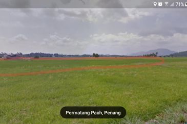 [FIRST GRADE LAND] Residential Potential Development Land Sungai Dua, Seberang Perai Tengah, Pulau Pinang For Sale