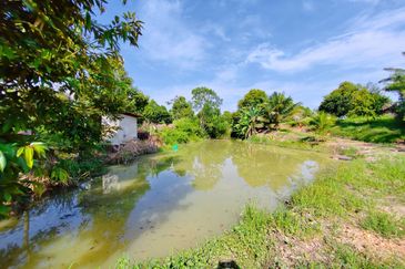 Durian Orchard (Musang King), Sungai Padang, Bentong For Sale