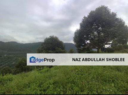 Durian Orchard & Palm Oil Land, Raub, Pahang For Sale, Pahang, Raub