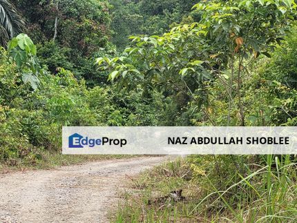 Residential Potential Development Kampung Geliga Besar, Cukai, Kemaman For Sale, Terengganu, Kemaman