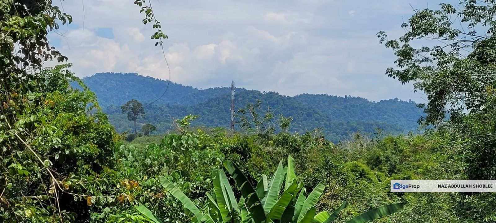 Residential Potential Development Kampung Geliga Besar, Cukai, Kemaman For Sale, Terengganu, Kemaman