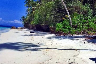 Beachfront Land, Pulau Lang Tengah, Terengganu For Sale