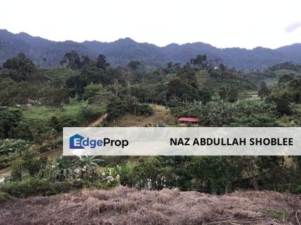 Agriculture Land Janda Baik, Bentong For Sale, Pahang, Bentong