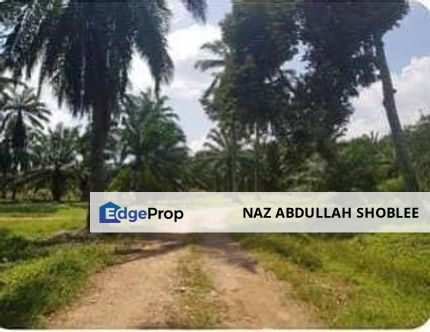 [FRONTING ROAD] Residential Potential Development Land Banting, Selangor For Sale, Selangor, Banting