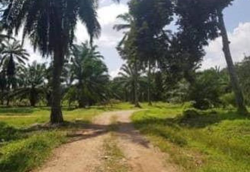 [FRONTING ROAD] Residential Potential Development Land Banting, Selangor For Sale