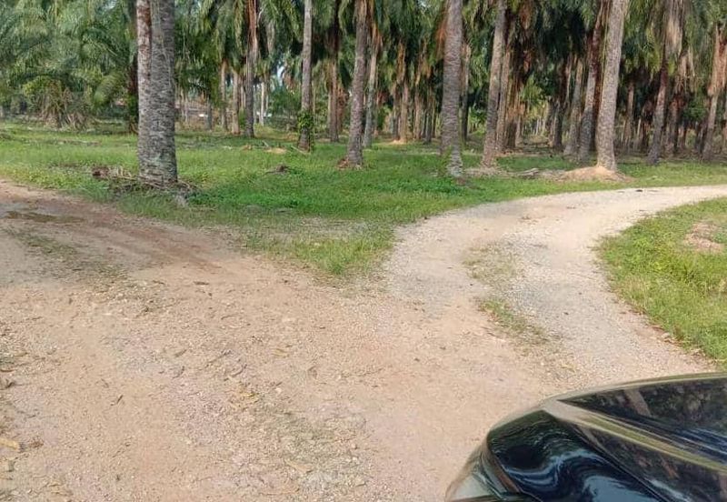 [FRONTING ROAD] Residential Potential Development Land Banting, Selangor For Sale