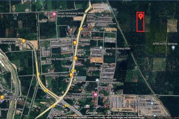 Palm Oil Land, Jalan Telok Dato, Sepang For Sale