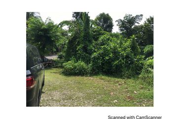 Bukit Gasing, Seksyen 5