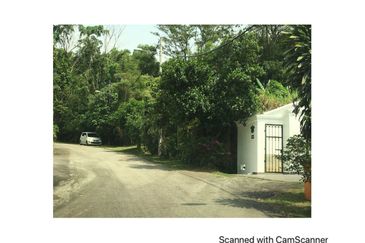 Bukit Gasing, Seksyen 5