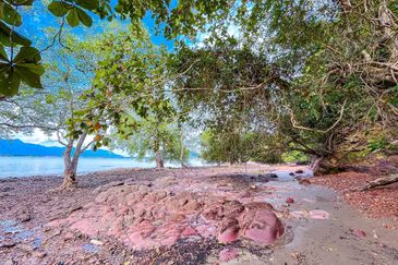 [SEA FRONTAGE] Resort Potential Development Land Pantai Telok Nipah, Kedah