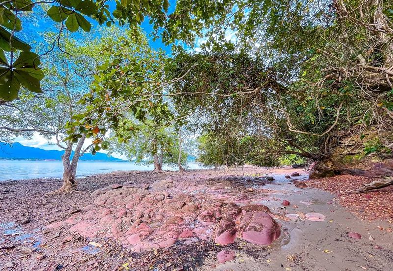 [SEA FRONTAGE] Resort Potential Development Land Pantai Telok Nipah, Kedah