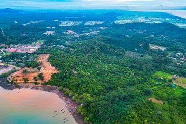 [SEA FRONTAGE] Resort Potential Development Land Pantai Telok Nipah, Kedah