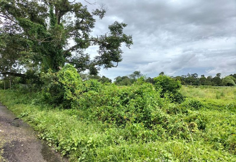 Residential Potential Development Land Paya Rumput, Melaka For Sale