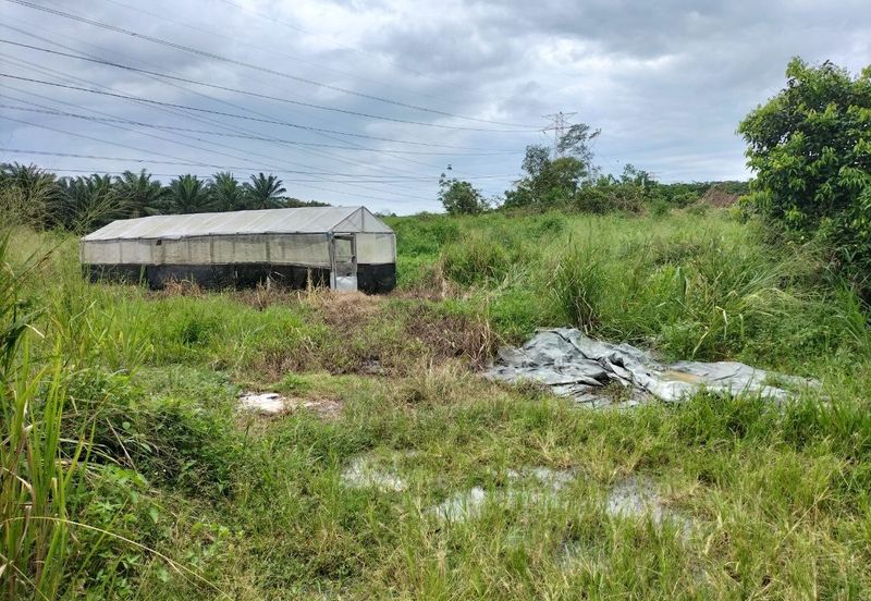 Residential Potential Development Land Paya Rumput, Melaka For Sale