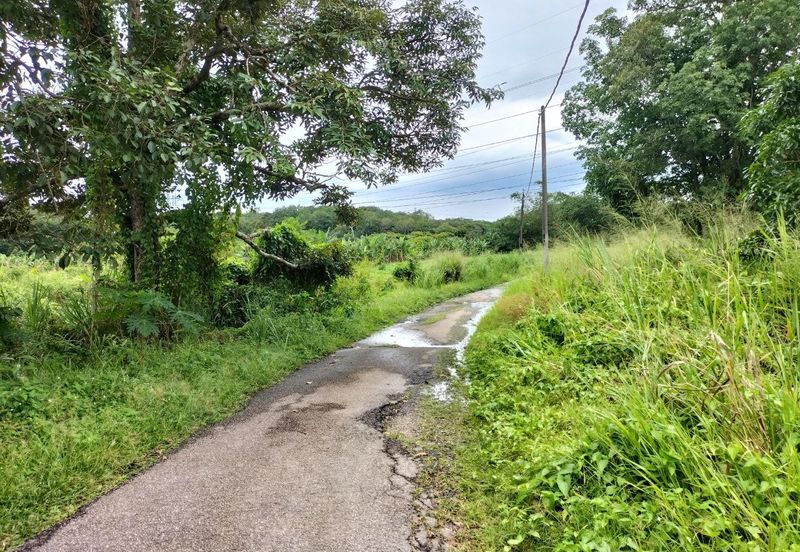 Residential Potential Development Land Paya Rumput, Melaka For Sale