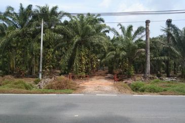 [NEXT TO MAIN ROAD] Agriculture Land Kampung Kundang, Tanjung Sepat For Sale