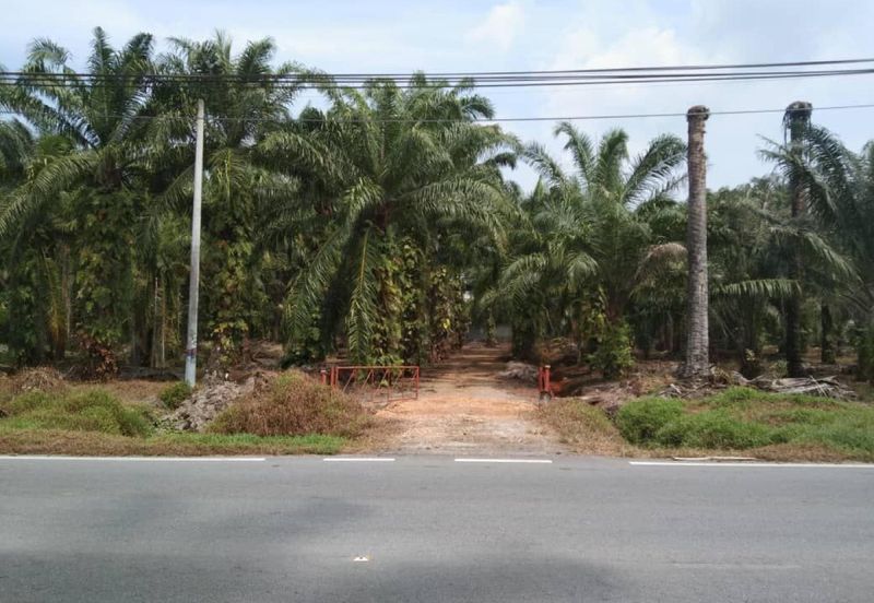 [NEXT TO MAIN ROAD] Agriculture Land Kampung Kundang, Tanjung Sepat For Sale