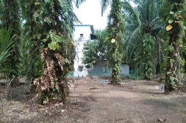 [NEXT TO MAIN ROAD] Agriculture Land Kampung Kundang, Tanjung Sepat For Sale