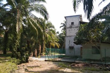 [NEXT TO MAIN ROAD] Agriculture Land Kampung Kundang, Tanjung Sepat For Sale