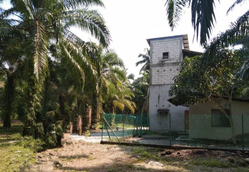 [NEXT TO MAIN ROAD] Agriculture Land Kampung Kundang, Tanjung Sepat For Sale