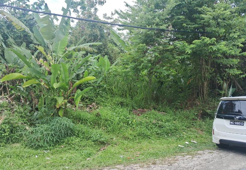 [FRONTING ROAD] Residential Potential Development Land Lorong Orkid, Kuang For Sale
