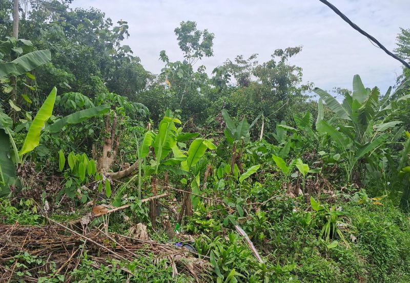 [FRONTING ROAD] Residential Potential Development Land Lorong Orkid, Kuang For Sale