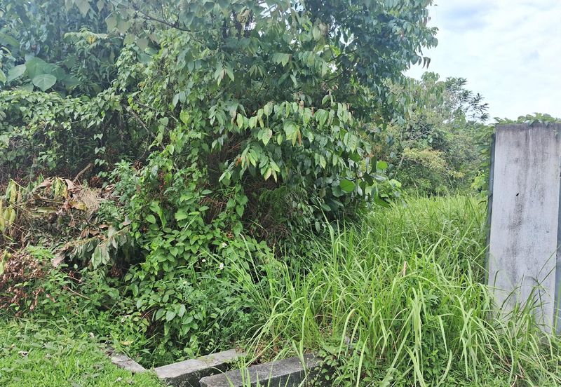 [FRONTING ROAD] Residential Potential Development Land Lorong Orkid, Kuang For Sale