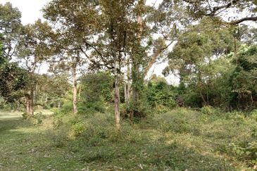Agriculture Land Kampung Bahagia, Sungai Buah For Sale