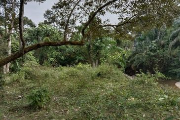 Agriculture Land Kampung Bahagia, Sungai Buah For Sale