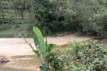 Agriculture Land Kampung Bahagia, Sungai Buah For Sale