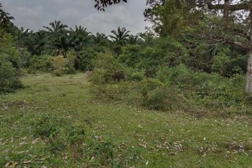 Agriculture Land Kampung Bahagia, Sungai Buah For Sale