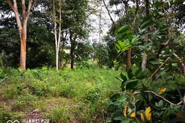 [HILL PEAK] Residential Potential Development Land Jalan Bangi - Salak, Sepang For Sale