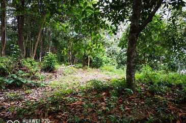 [HILL PEAK] Residential Potential Development Land Jalan Bangi - Salak, Sepang For Sale