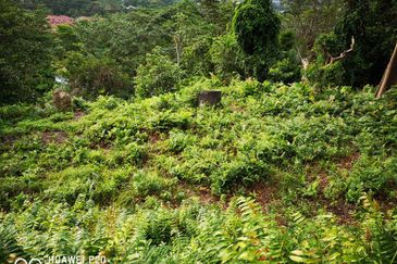 [HILL PEAK] Residential Potential Development Land Jalan Bangi - Salak, Sepang For Sale