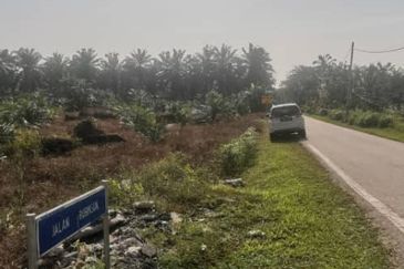 Agriculture Land Ijok, Kuala Selangor For Sale