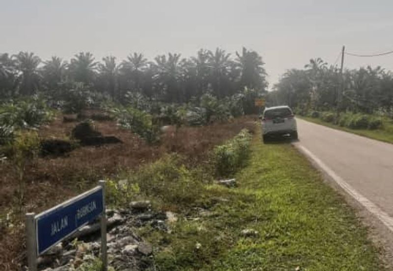 Agriculture Land Ijok, Kuala Selangor For Sale