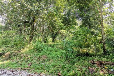 Agriculture Land Bukit Lagong, Selayang For Sale