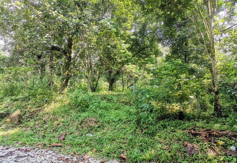 Agriculture Land Bukit Lagong, Selayang For Sale