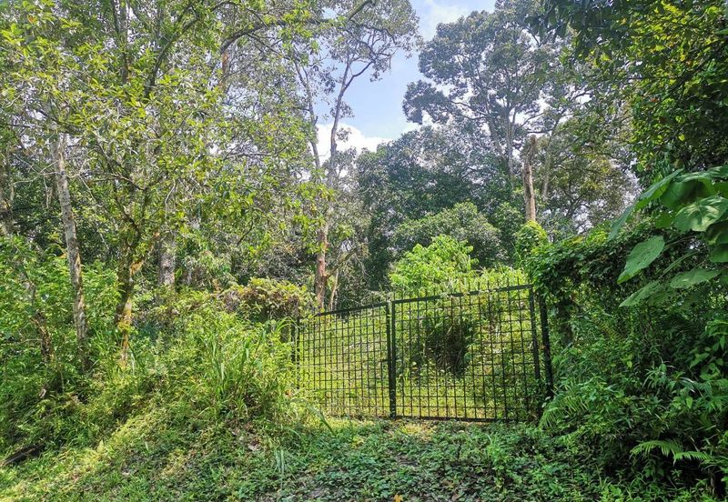 Agriculture Land Bukit Lagong, Selayang For Sale