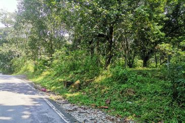 Agriculture Land Bukit Lagong, Selayang For Sale