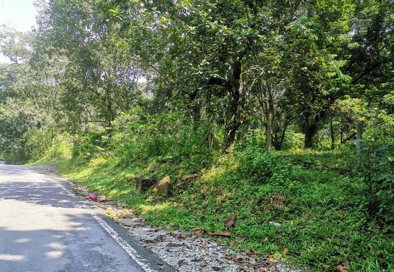 Agriculture Land Bukit Lagong, Selayang For Sale