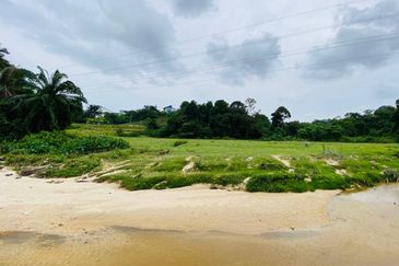 [FRONTING HIGHWAY] Agriculture Land Kampung Sungai Buah, Dengkil For Sale