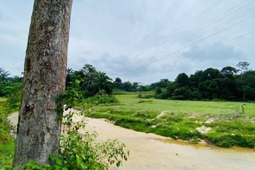 [FRONTING HIGHWAY] Agriculture Land Kampung Sungai Buah, Dengkil For Sale