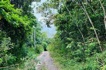 [FRONTING HIGHWAY] Agriculture Land Kampung Sungai Buah, Dengkil For Sale