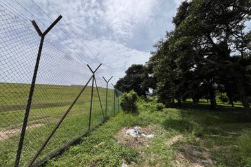 [NEAR KLIA] Durian Orchard Labu, Salak Tinggi For Sale