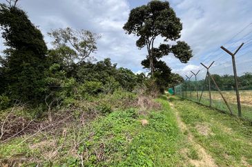 [NEAR KLIA] Durian Orchard Labu, Salak Tinggi For Sale