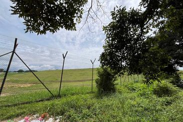 [NEAR KLIA] Durian Orchard Labu, Salak Tinggi For Sale