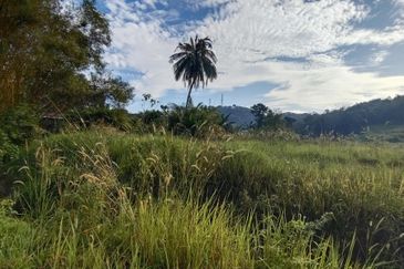 Agriculture Land Bukit Kapar, Klang For Sale