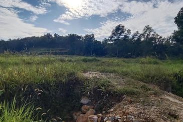 Agriculture Land Bukit Kapar, Klang For Sale