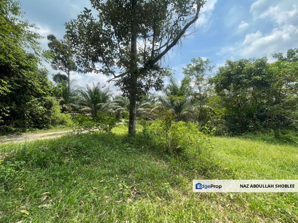 Agriculture Land Jalan Sungai Pening, Semenyih For Sale, Selangor, Semenyih